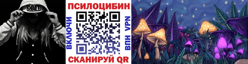 закладки Мариинск Псилоцибиновые грибы Psilocybe