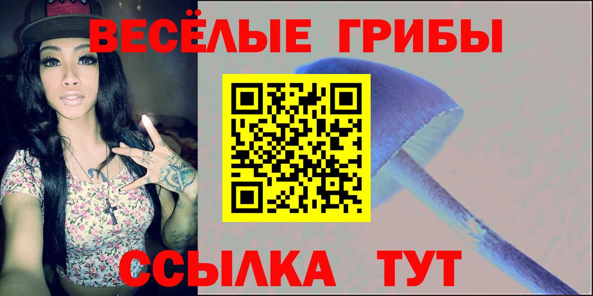 Псилоцибиновые грибы MAGIC MUSHROOMS  где купить наркоту  Галлюциногенные грибы Magic Shrooms  Мариинск 