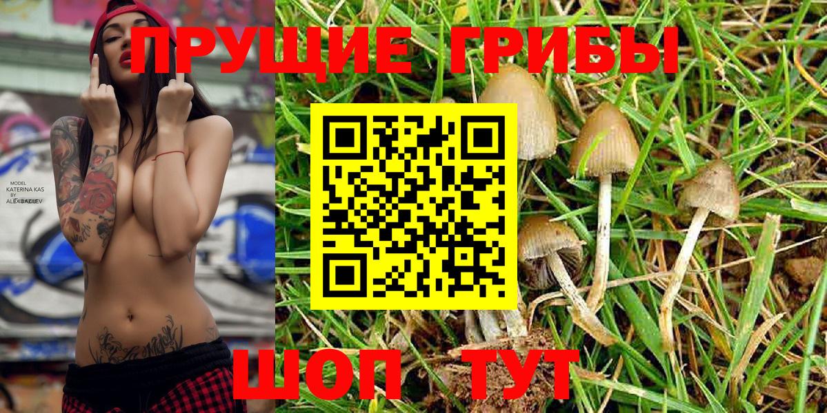 Мариинск  Галлюциногенные грибы Magic Shrooms  Вход с VPN  Псилоцибиновые грибы прущие грибы 